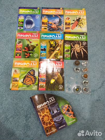 Коллекция насекомых с журналами де'агостини