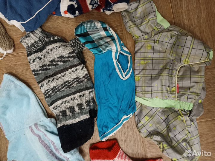 Лот одежды для маленькой собачки