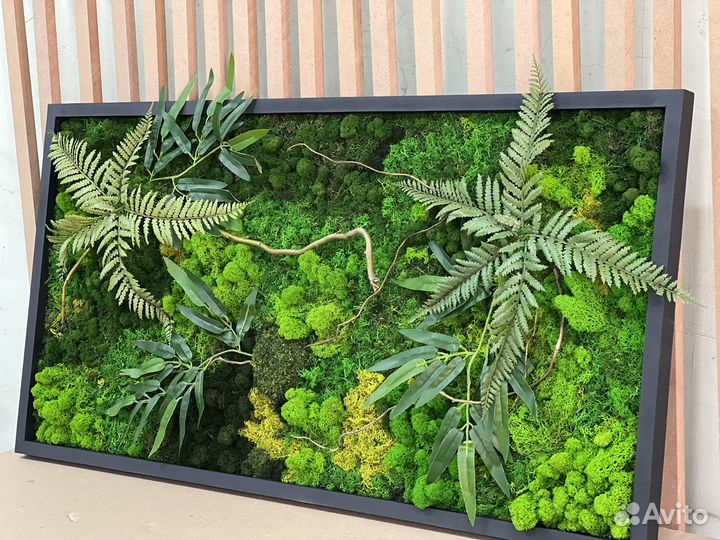 Панно, картина из мха, подарок, озеленение