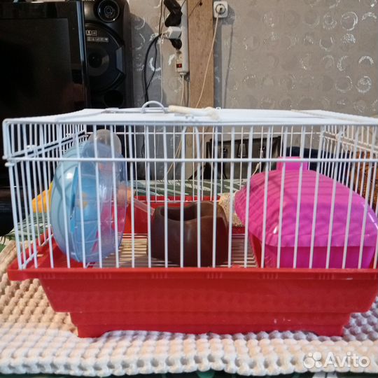 Клетка для грызунов