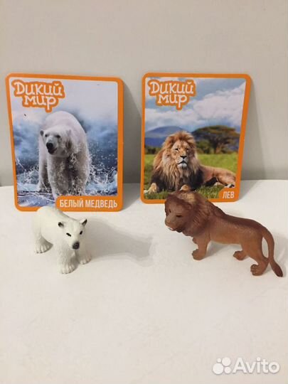 Киндер дикий мир животных