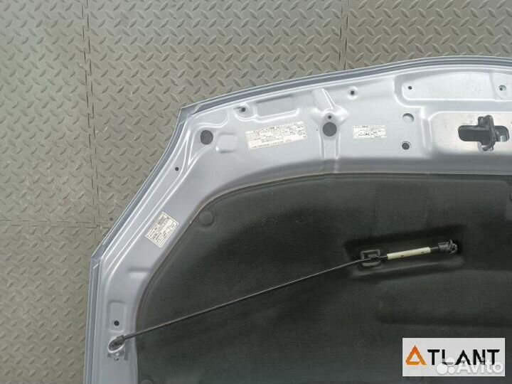 Капот toyota prius