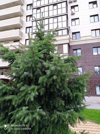 1-к. квартира, 41,5 м², 12/20 эт.