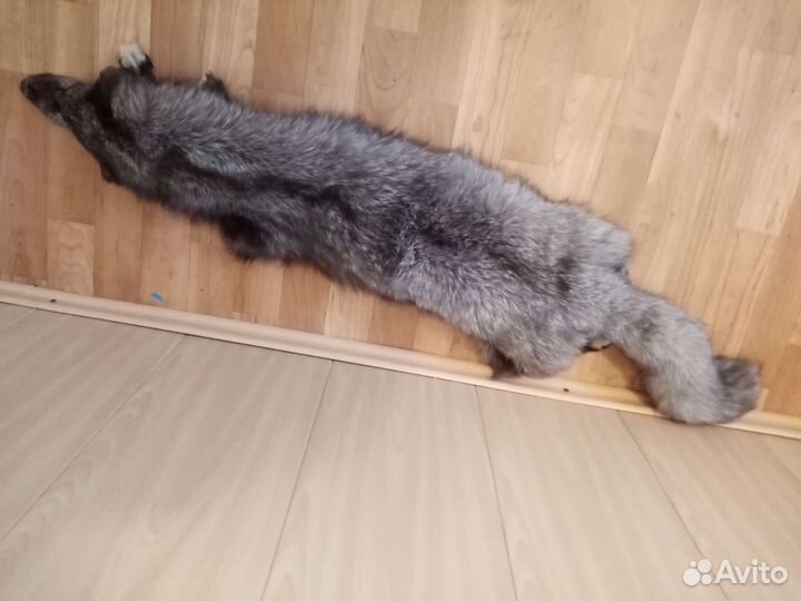 Шкура песца