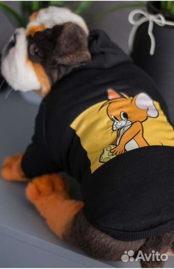 Толстовка для животных новая