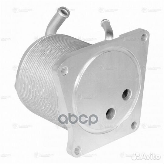 Радиатор масл. для а/м Nissan X-Trail (07) 2.0