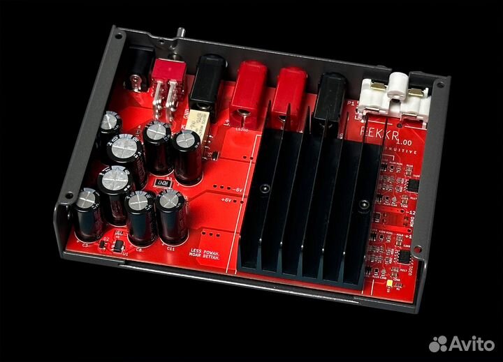 Schiit Rekkr усилитель для колонок, серебристый