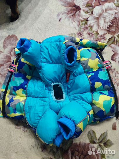 Одежда для маленьких пород собак