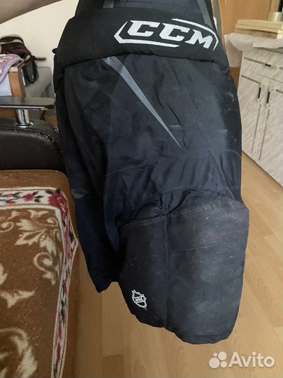 Хоккейные шорты ccm