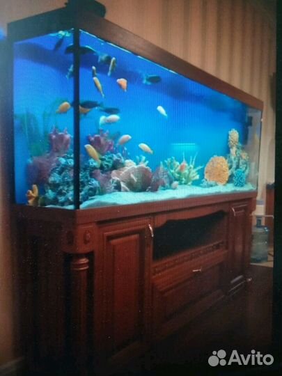 Обслуживание аквариумов