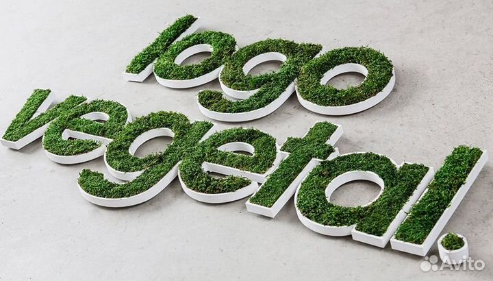 Композиции из мха на заказ