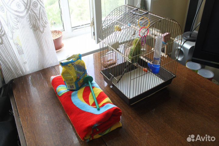 Передержка грызунов, клеточных животных, зооняня