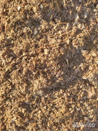 Корма для крс. Силос кукурузный