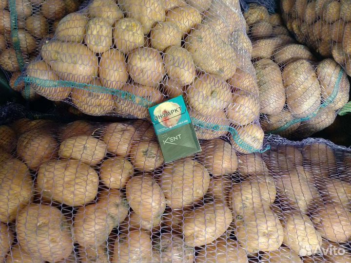 Картофель молодой оптом и в розницу