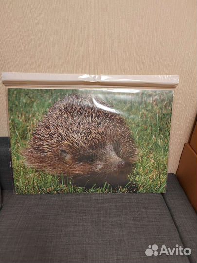 Макси пазлы для детей животные новые