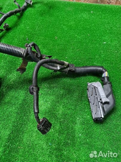 Проводка двигателя Toyota Auris E150