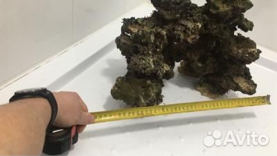 Декорации в аквариум