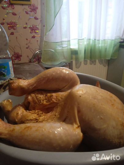 Мясо бройлера и петушков