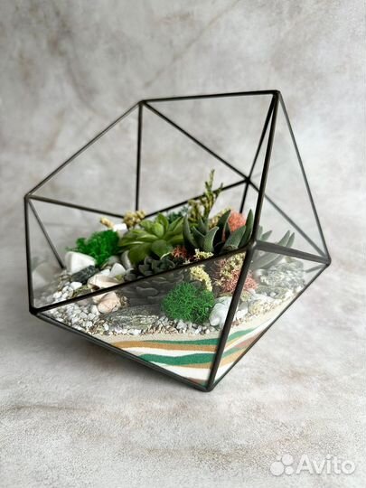 Флорариум. Подарок. Уникальный декор