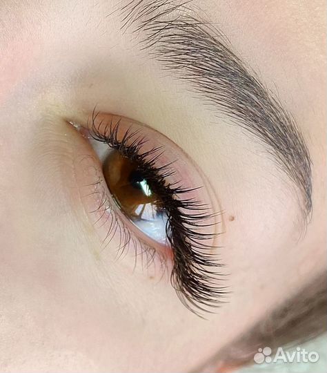 Ресницы и брови
