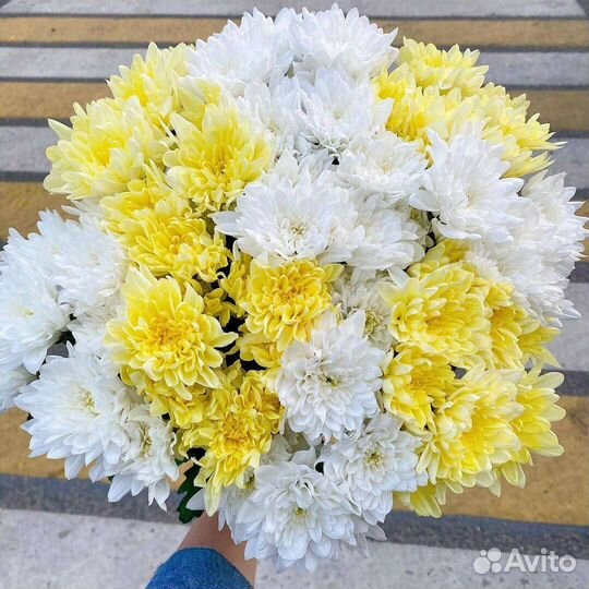 Букет из хризантем Цветы с доставкой