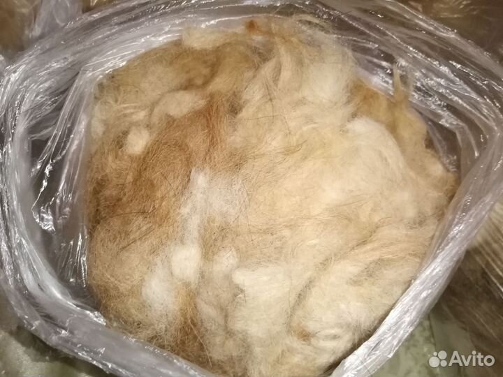 Собачья шерсть пух