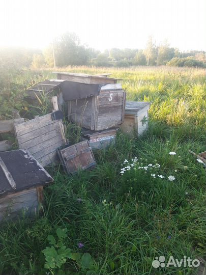 Ульи для пчел