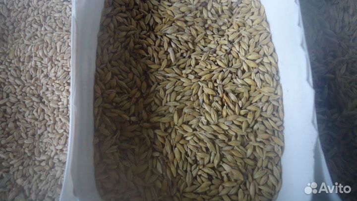 Корма для с. х. животных