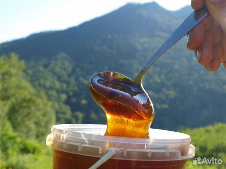 Продам Мёд(качка август)