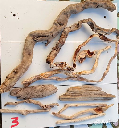 Коряги дрифтвуд