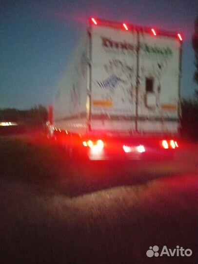 Полуприцеп рефрижератор Kogel Cool, 1995