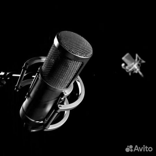 Диктор/закадр/дубляж