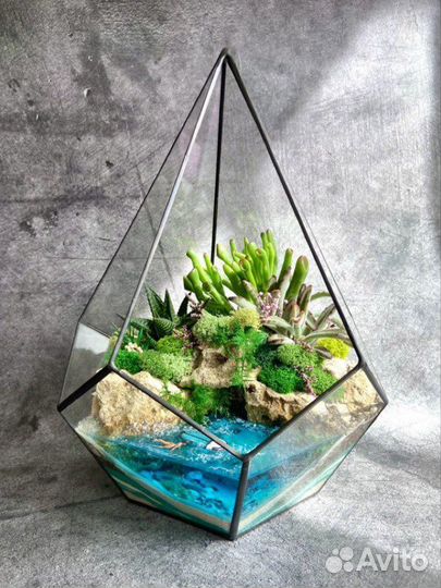 Флорариум суккуленты мох подарок