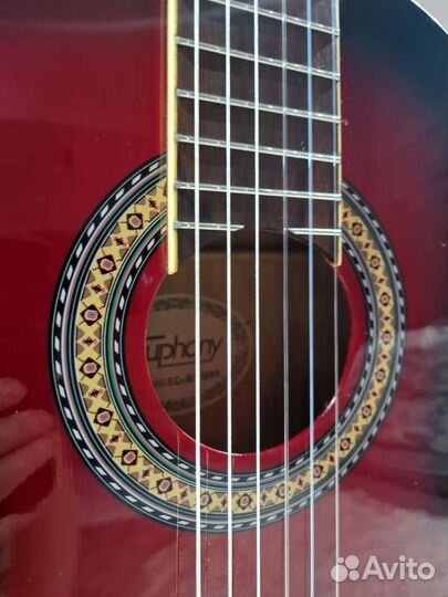 Гитара Euphony EC-100twrs