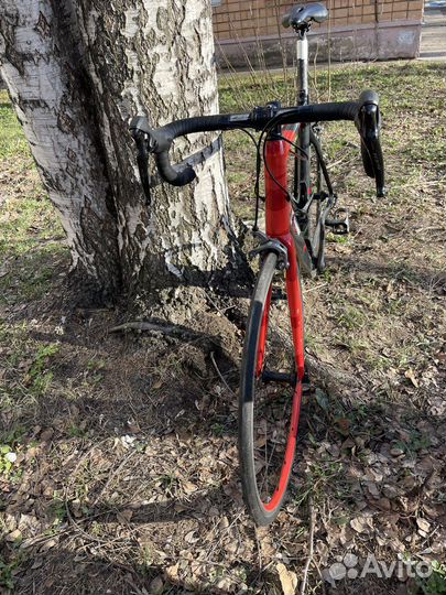 Ridley Fenix Ultegra - 2014