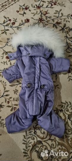 Комбинезон для маленькой собаки девочки