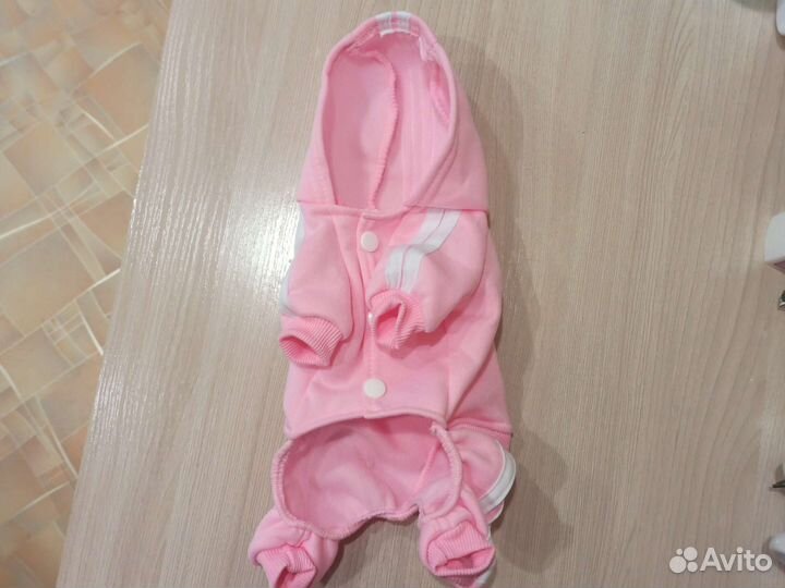 Костюм для маленьких собак