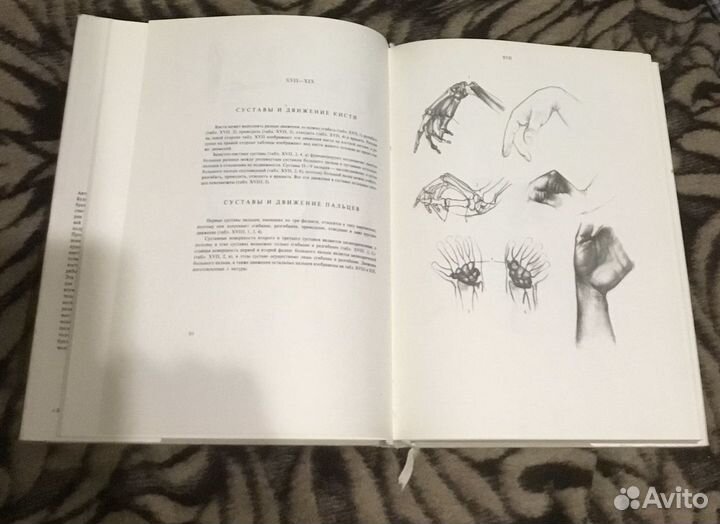 Книга «Анатомия для художников»