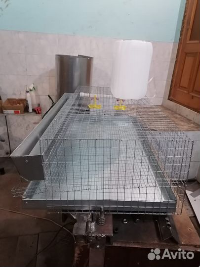 Клетки для перепелов