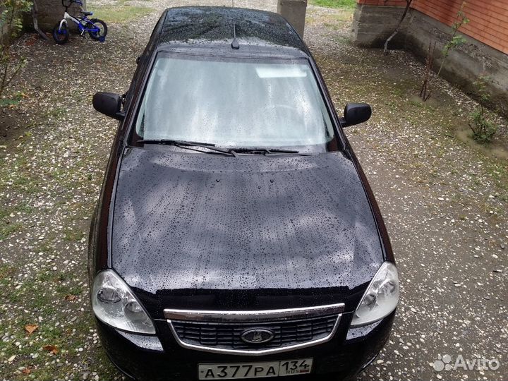 Костоправ Маляр