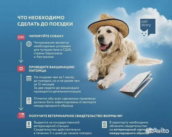 Ветеринарный паспорт животному