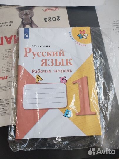 Рабочие тетради 1 класс школа россии