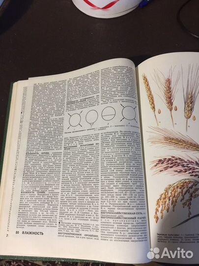 Энциклопедия