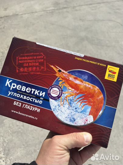 Креветки