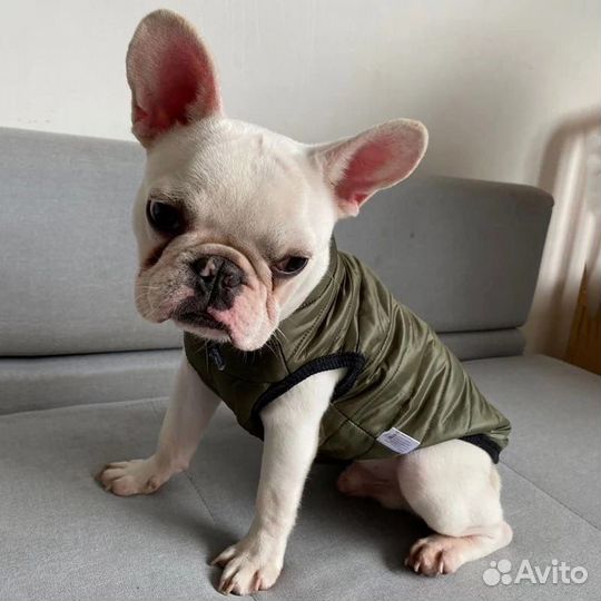 Шлейка новая