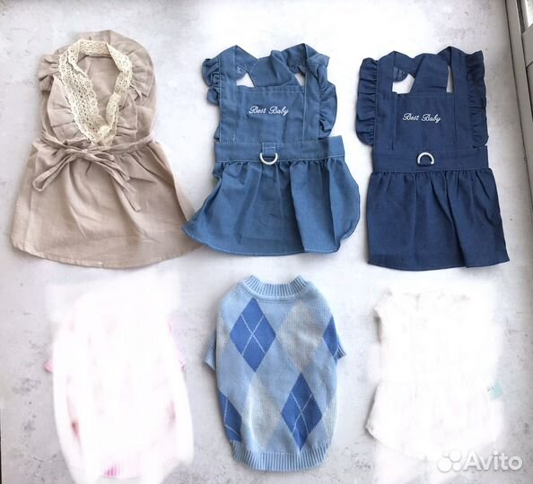 Одежда для собак и кошек новая летняя