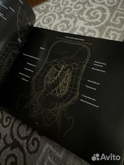 Атлас. Книга. Анатомия