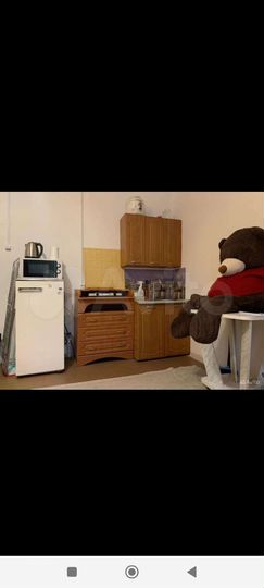 4-к. квартира, 54,9 м², 2/2 эт.