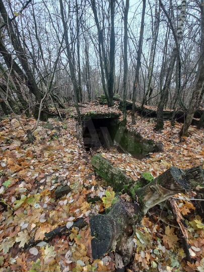 Участок 7,3 сот. (ИЖС)