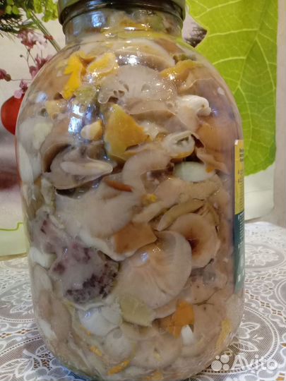 Грибы соленые